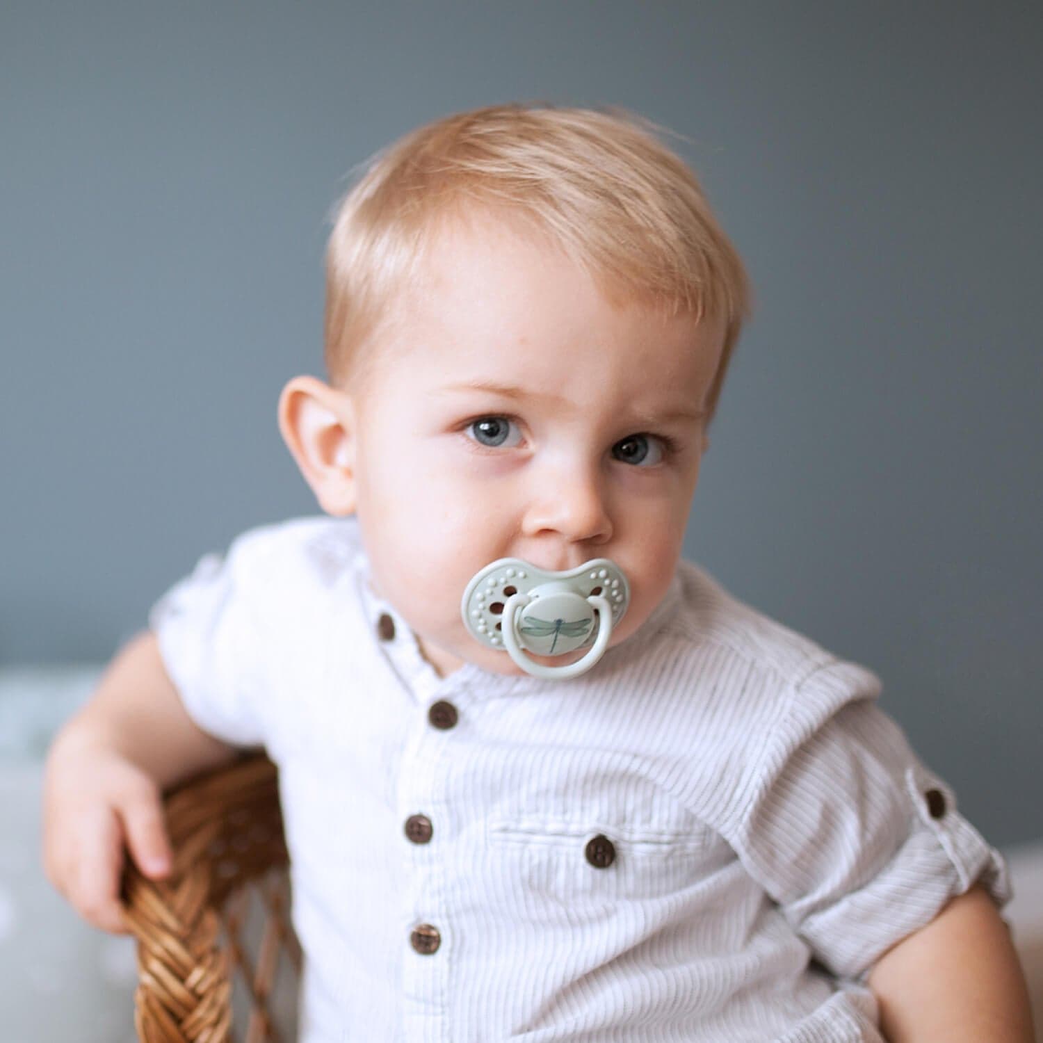 Difrax LOVI - Dynamic pacifier 18+ months Botanic