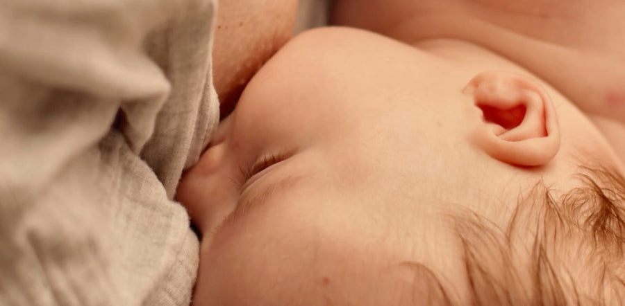 Bébé tétant au sein de sa mère, illustrant les bienfaits du colostrum pour l’immunité et la nutrition dès la naissance