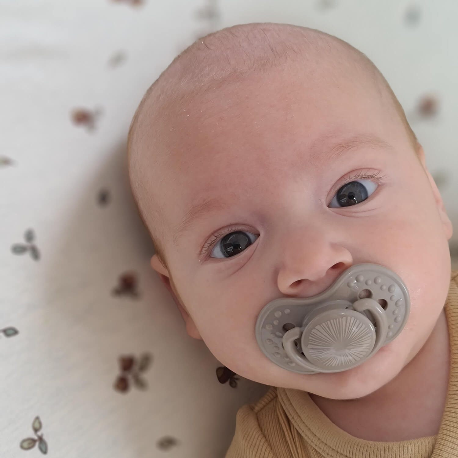 Difrax LOVI - Dynamic pacifier 0-3 months Harmony