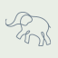 Little Grey Elephant